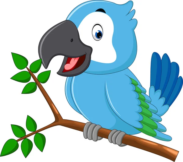 Ilustrasi kartun macaw lucu - Stok Vektor