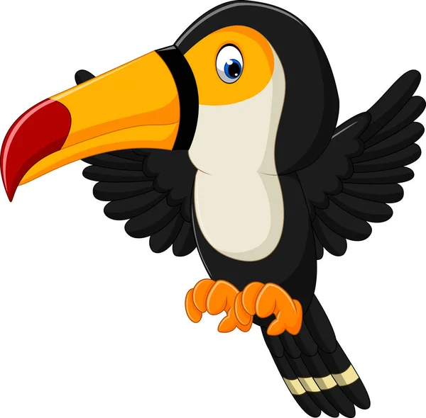 Karikatür mutlu kuş toucan — Stok Vektör
