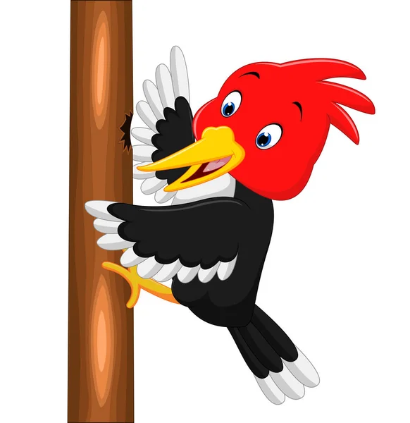 Bande dessinée oiseau pic — Image vectorielle