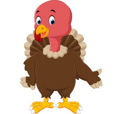 Türkiye'nin kuş çizgi film