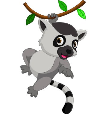 yakışıklı lemur karikatür