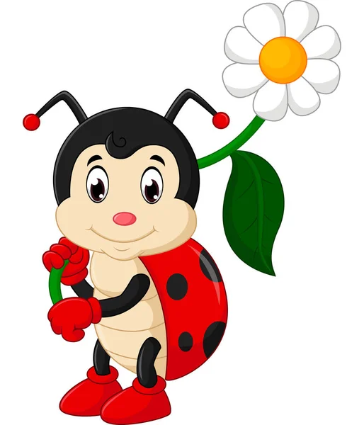 Dessin animé mignon coccinelle — Image vectorielle