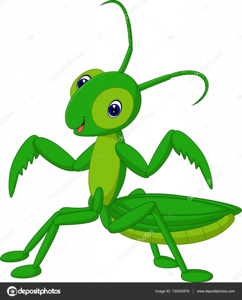 Cute grasshopper cartoon Stock Vector Image by ©hermandesign2015@  #135245576