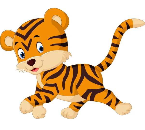 Cute tiger cartoon — Stock Vector