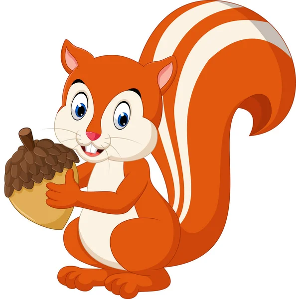 Cute squirrel cartoon — Stock Vector