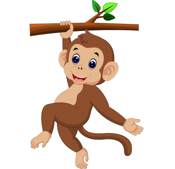 Desenho animado macaco bonito —  Vetores de Stock