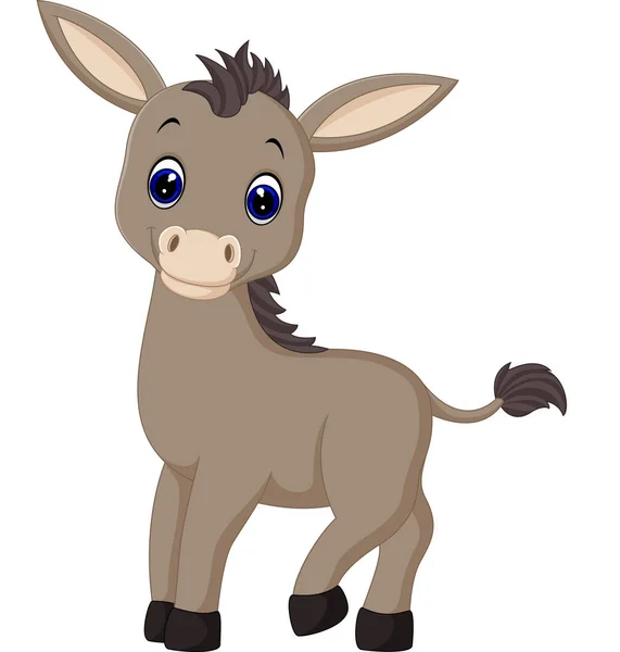 Burro de dibujos animados lindo — Vector de stock