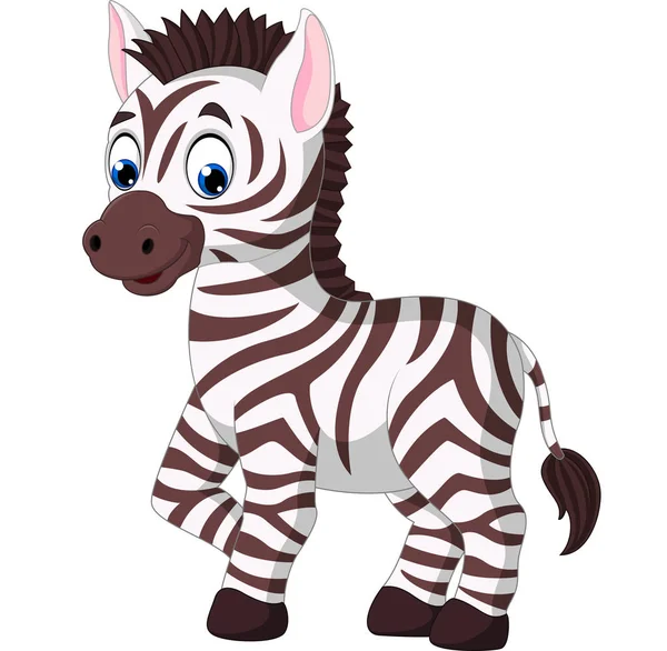 Niedliches Cartoon-Zebra — Stockvektor