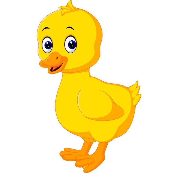 Lindo bebé pato dibujos animados — Vector de stock