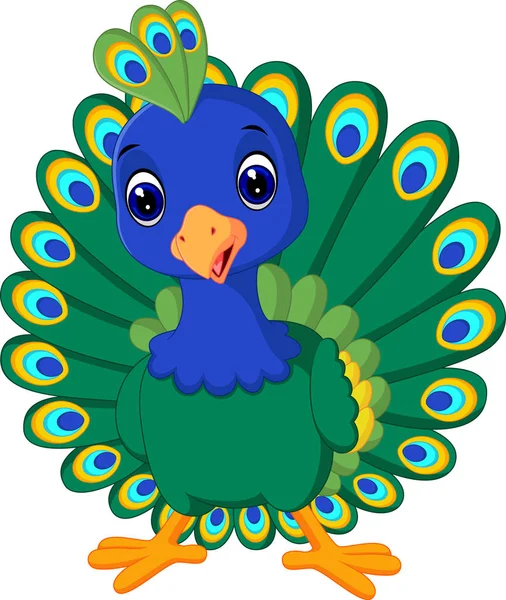 Cute Beautiful peacock — Stock Vector