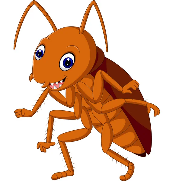 Bonita cucaracha de dibujos animados — Vector de stock