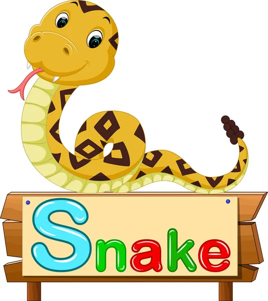 Cute snake cartoon — Stock Vector