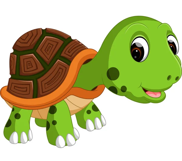 Cute turtle cartoon — Stock Vector