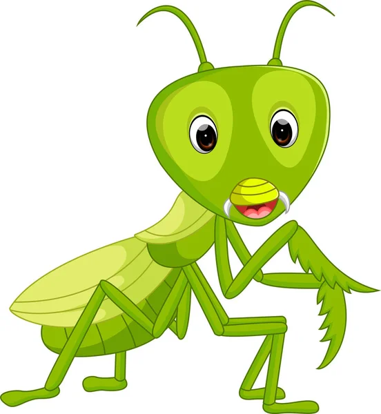 Prier mantis sauterelle dessin animé — Image vectorielle