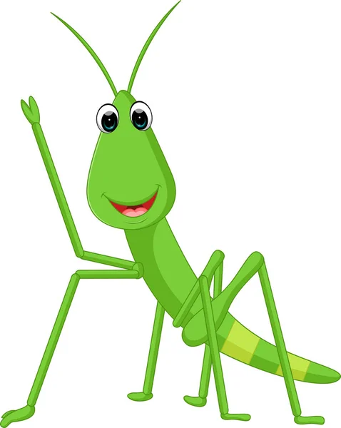 Louvor mantis gafanhoto desenhos animados — Vetor de Stock