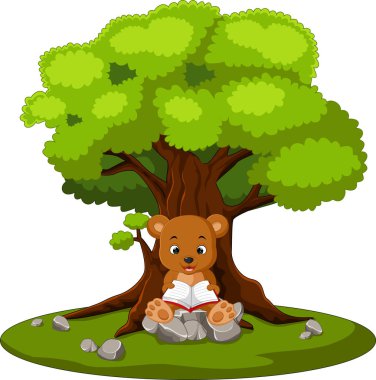 kitap okuma ve taş üzerine oturan ayı