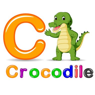 Alfabe C timsah karikatür ile