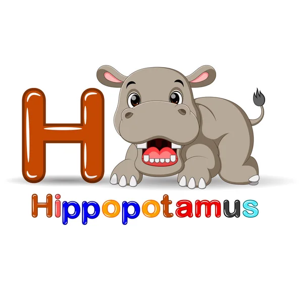 Djur alfabetet: H är för Hippo — Stock vektor