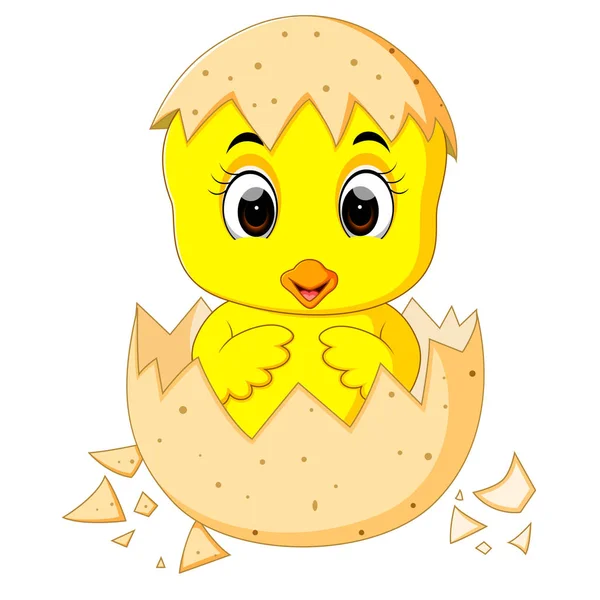Little cartoon chick hatched from an egg — Stock Vector
