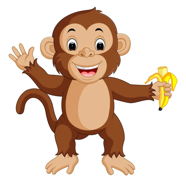 Cute monkey cartoon eating banana — Stock Vector