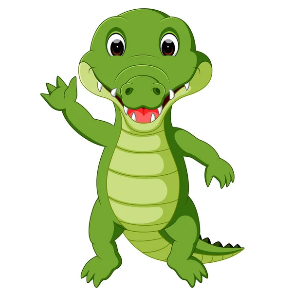 Dessin animé crocodile mignon — Image vectorielle