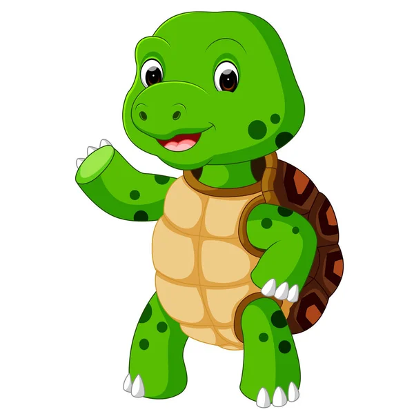 Cute turtle cartoon — Stock Vector