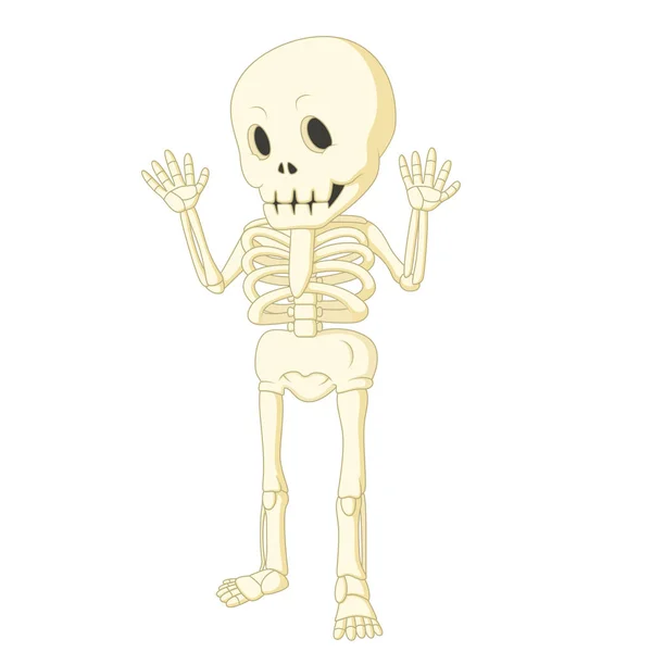 Dibujos animados divertido esqueleto humano bailando — Vector de stock