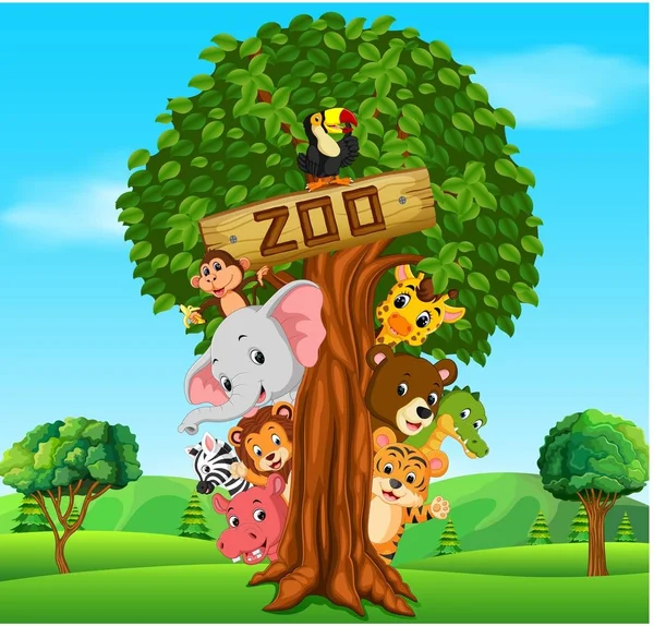 Kolekcja Zwierząt Ogrodach Zoologicznych Przewodnikiem — Wektor stockowy