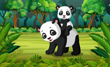 Ormanda bebek panda Panda