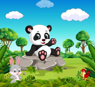 Ormandaki panda