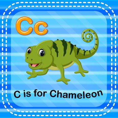 Flashcard C için bukalemun harftir