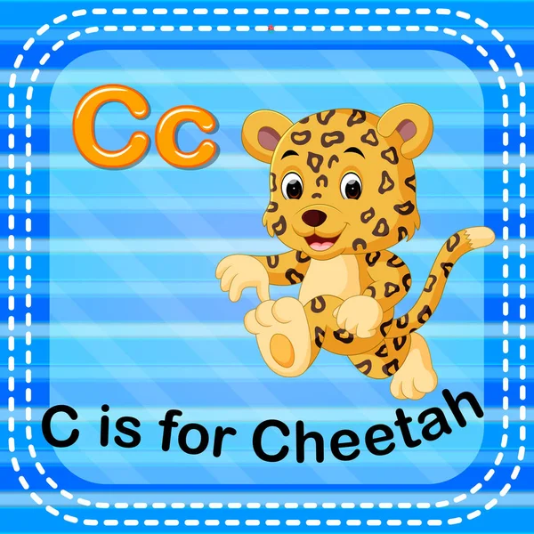Flashcard Için Cheetah Harftir — Stok Vektör