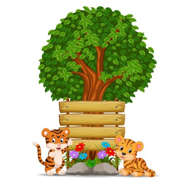 boş bir ahşap tabela önünde iki kaplan