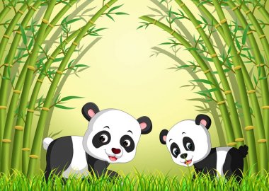 Bambu ormandaki iki sevimli panda