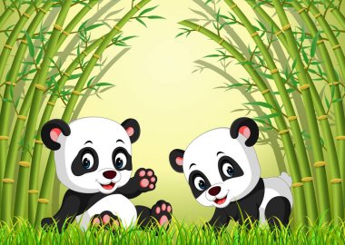 Bambu ormandaki iki sevimli panda