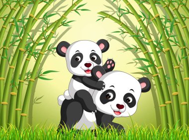 Bambu ormandaki iki sevimli panda