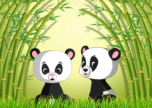 two cute panda in a bamboo forest