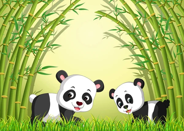 竹林里的两只可爱的熊猫 — 图库矢量图片