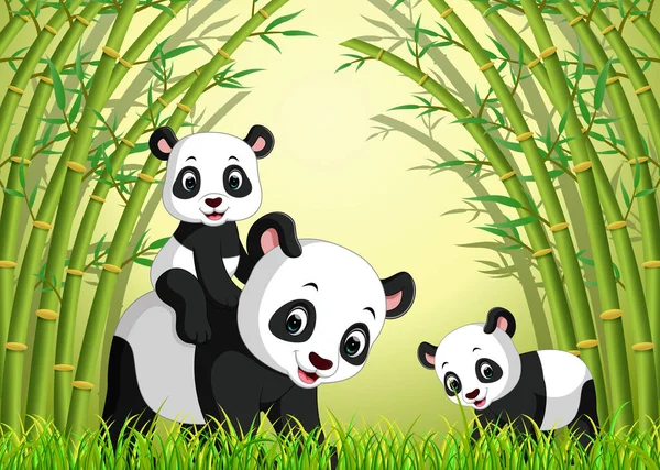 two cute panda in a bamboo forest