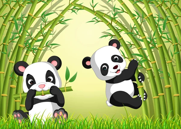 Deux Mignons Panda Dans Une Forêt Bambous — Image vectorielle