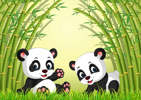 Deux Mignons Panda Dans Une Forêt Bambous — Image vectorielle