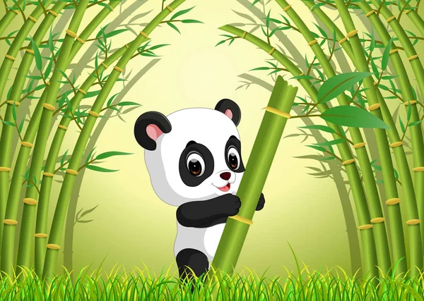 Dos Panda Lindo Bosque Bambú — Vector de stock