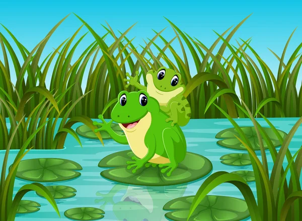 愉快的河场面在叶子的青蛙 — 图库矢量图片