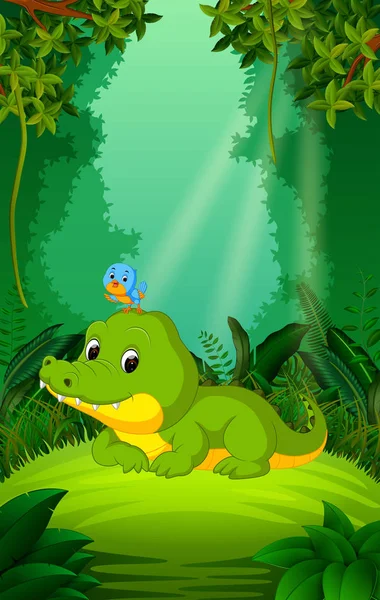 清澈绿色森林中的鳄鱼与鸟 — 图库矢量图片
