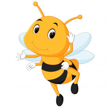 Beyaz arka planda bal arısı