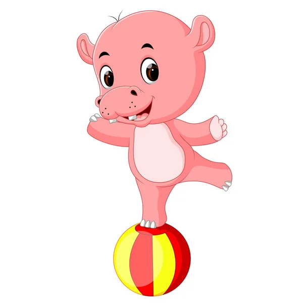 Ein Baby Zirkus Nilpferd Balanciert Auf Einem Großen Ball — Stockvektor