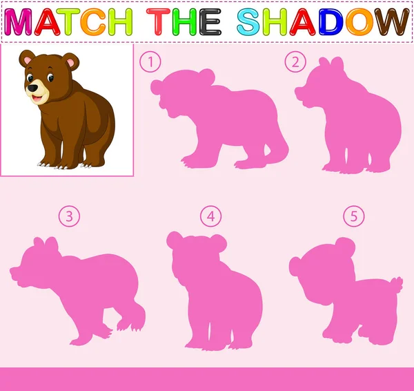 Find Correct Shadow Bear — Stock Vector