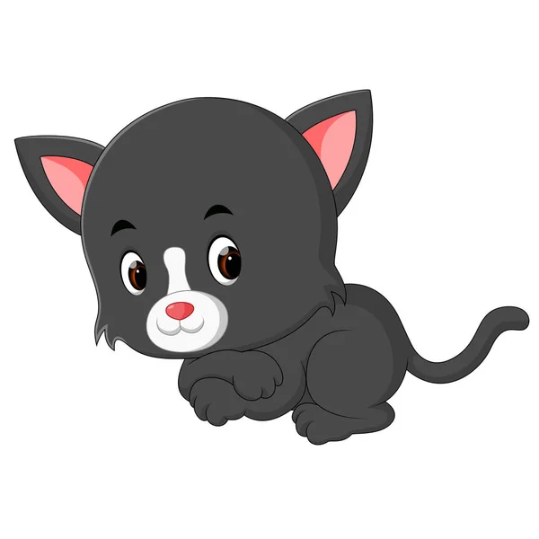 Cute Funny Cats Cartoon — Stock Vector
