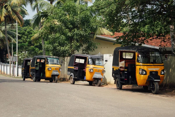 Halep, Hindistan 'da yol kenarında palmiyelerin altında üç tuk-tuk taksisi duruyor.