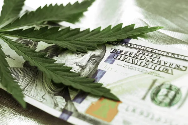 Marihuana wychodzi stu dolarowe. Pieniądze z marihuany pozostawia szczegół, wysokiej jakości. Konopi z pieniędzy. Makro — Zdjęcie stockowe